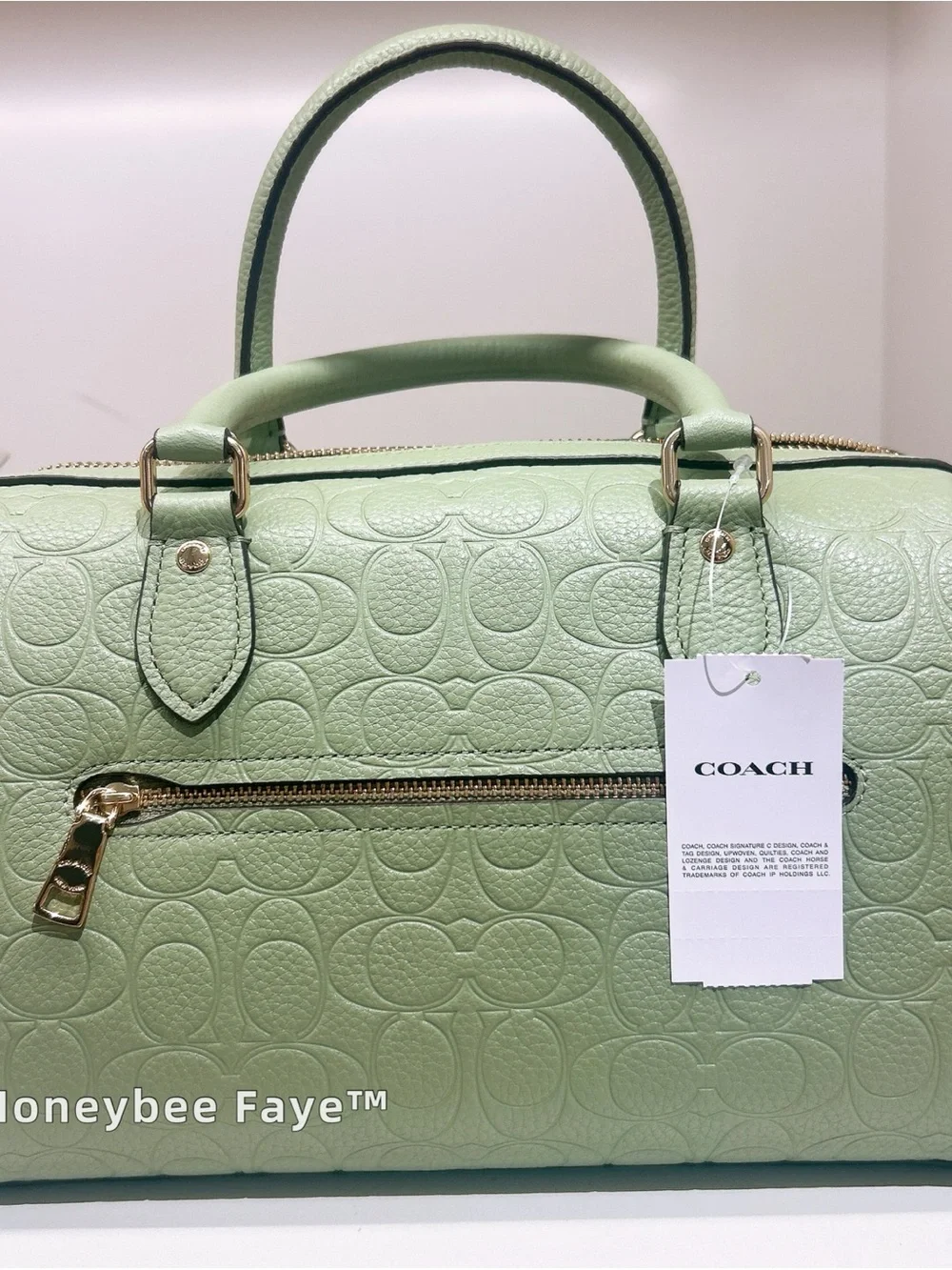 NWT Coach Rowan Satchel Bag In Signature Leather CEW03 Gold/Pistachio